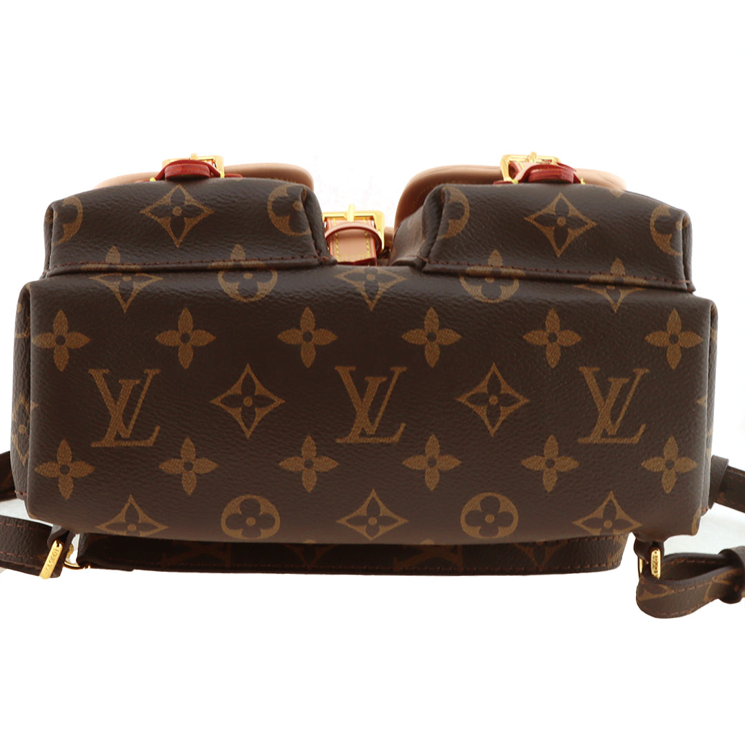 Mochila Louis Vuitton